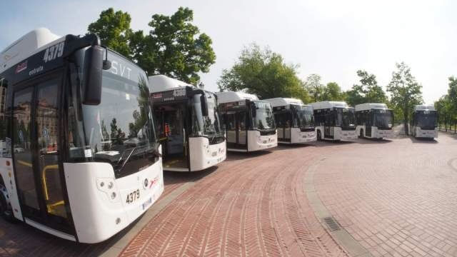 Bus urbano